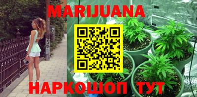 стаф Кимры