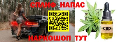 стаф Кимры