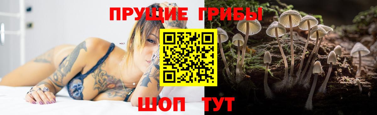 Шали  Галлюциногенные грибы GOLDEN TEACHER  Вход с VPN 